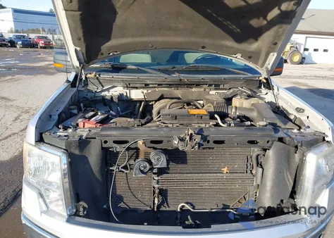 2010 Ford F-150 Xl/Xlt from USA, damaged, VIN 1FTEW1E89AFB37199